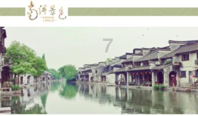 救援大嘴鸟